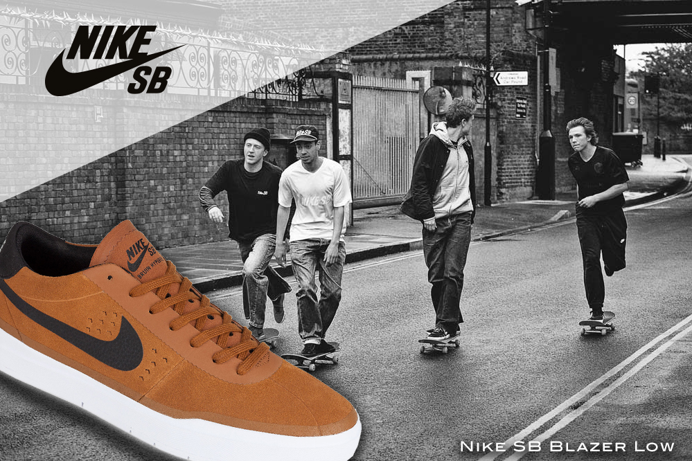 best nike sb skate shoes