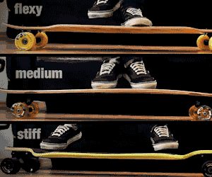 Longboards with different levels of flex