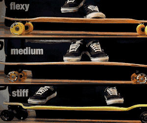 Longboard Flexstufen Flexibilität von verschiedenen Longboard-Typen