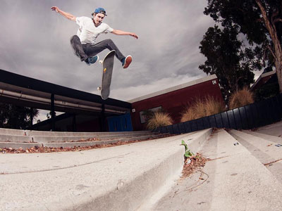 Toy Machine Skateboards Toy Machine Skateboards